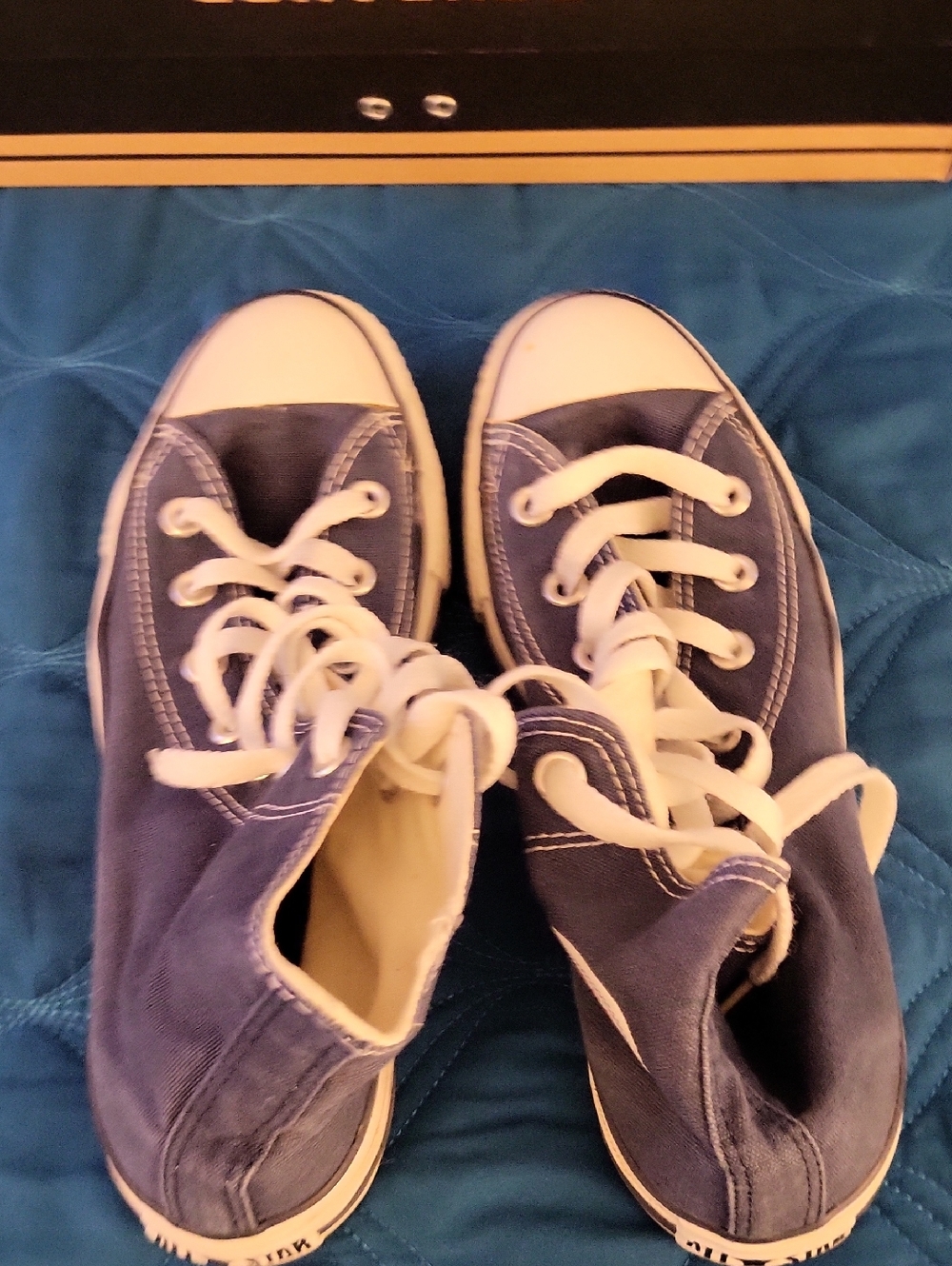 Classic High-Top Canvas Sneakers in Navy Blue and White